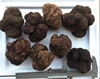 /product-detail/fresh-truffles-prices-60349581528.html