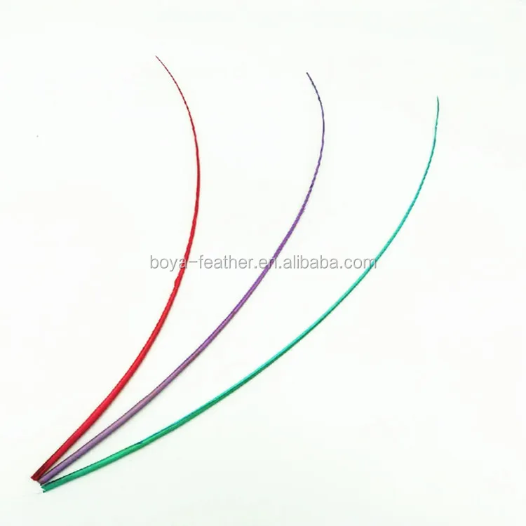 Ostrich Feather Spine Quill