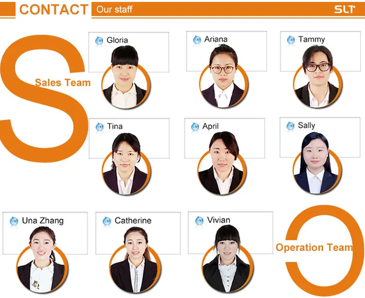 high torque dc brushless motor 48v