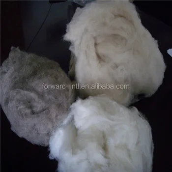 pashmina wool