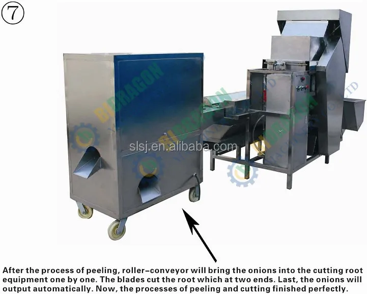 onion peeling machine,onion peeler,onion peeler machine,onion peeling,onion machine,automatic onion peeler,onion peeling machine price.jpg