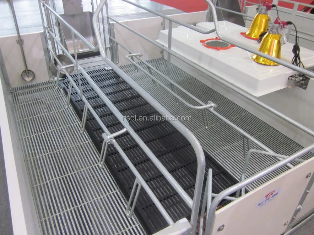 Hot Galvanized Farrowing Crates Pig Used Farrowing Crate For Sale Buy