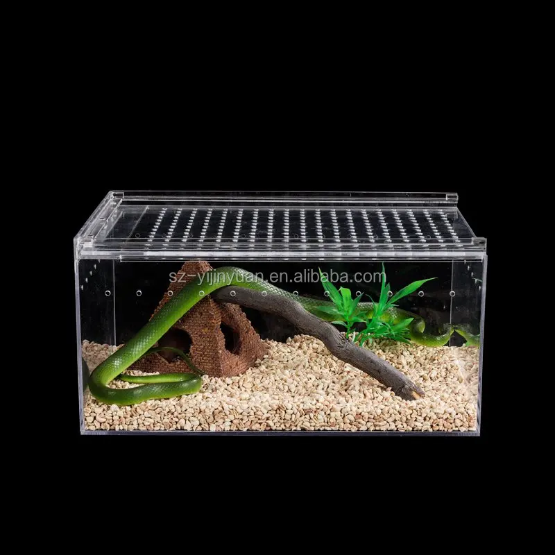 Plexiglass Reptile Terrarium Feeder Case Acrylic Reptile Cage For