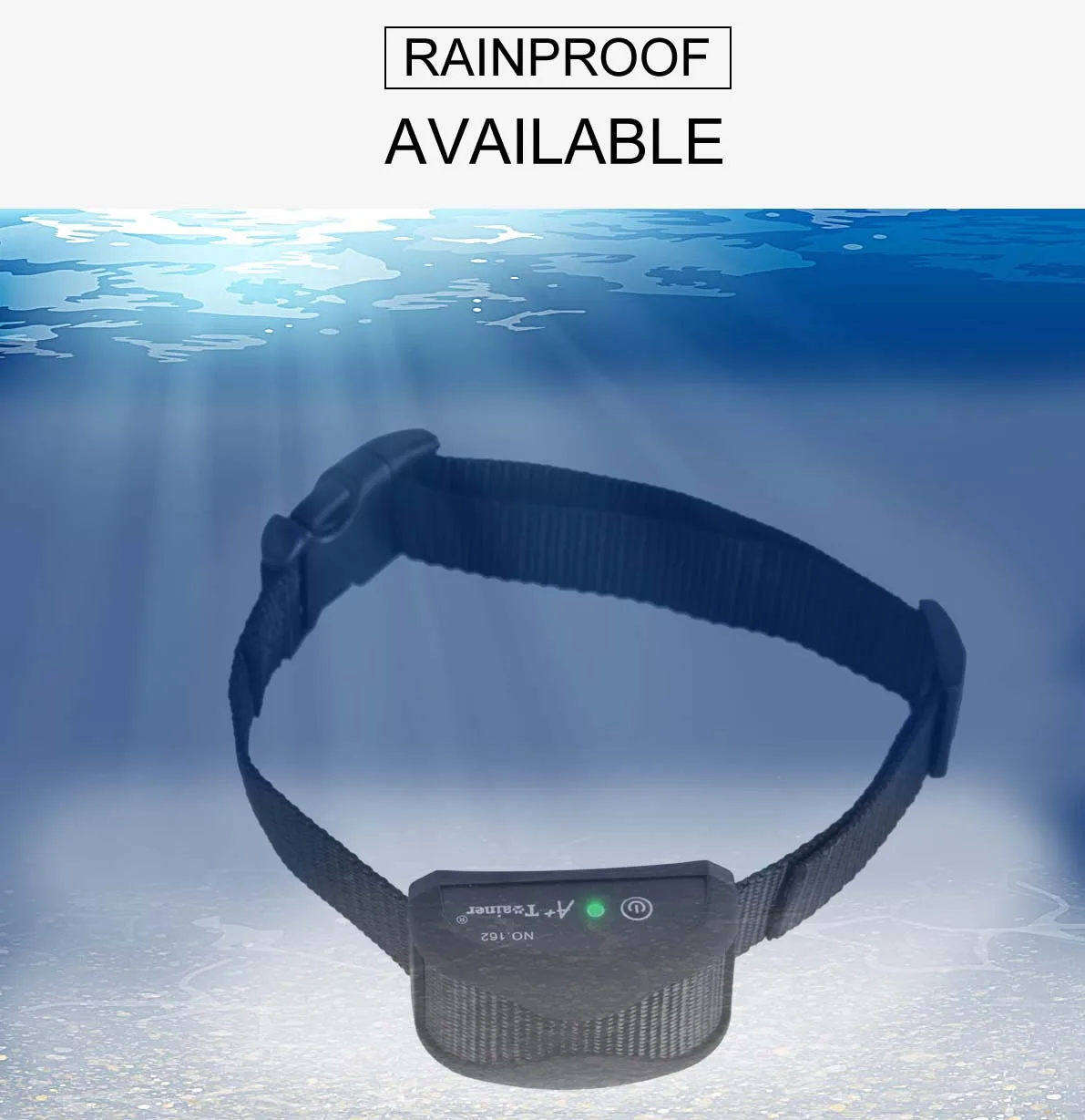 dog collar training   \t training collar for dog