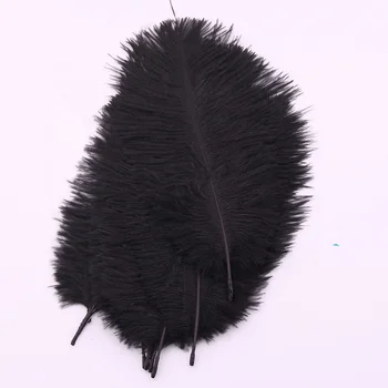 black ostrich feathers wholesale