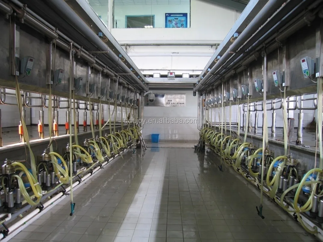 Dairy Farm Construction Turn Key Solution Buy Dairy Farming Equipment