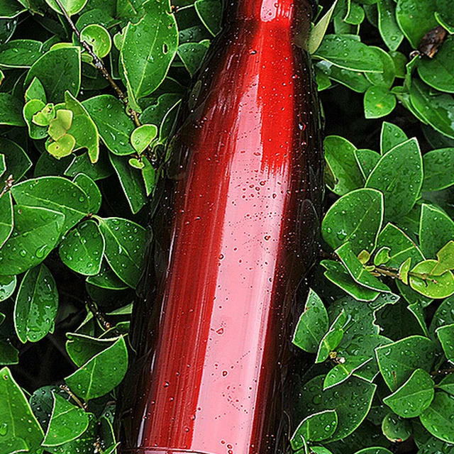 vacuum suction bottle