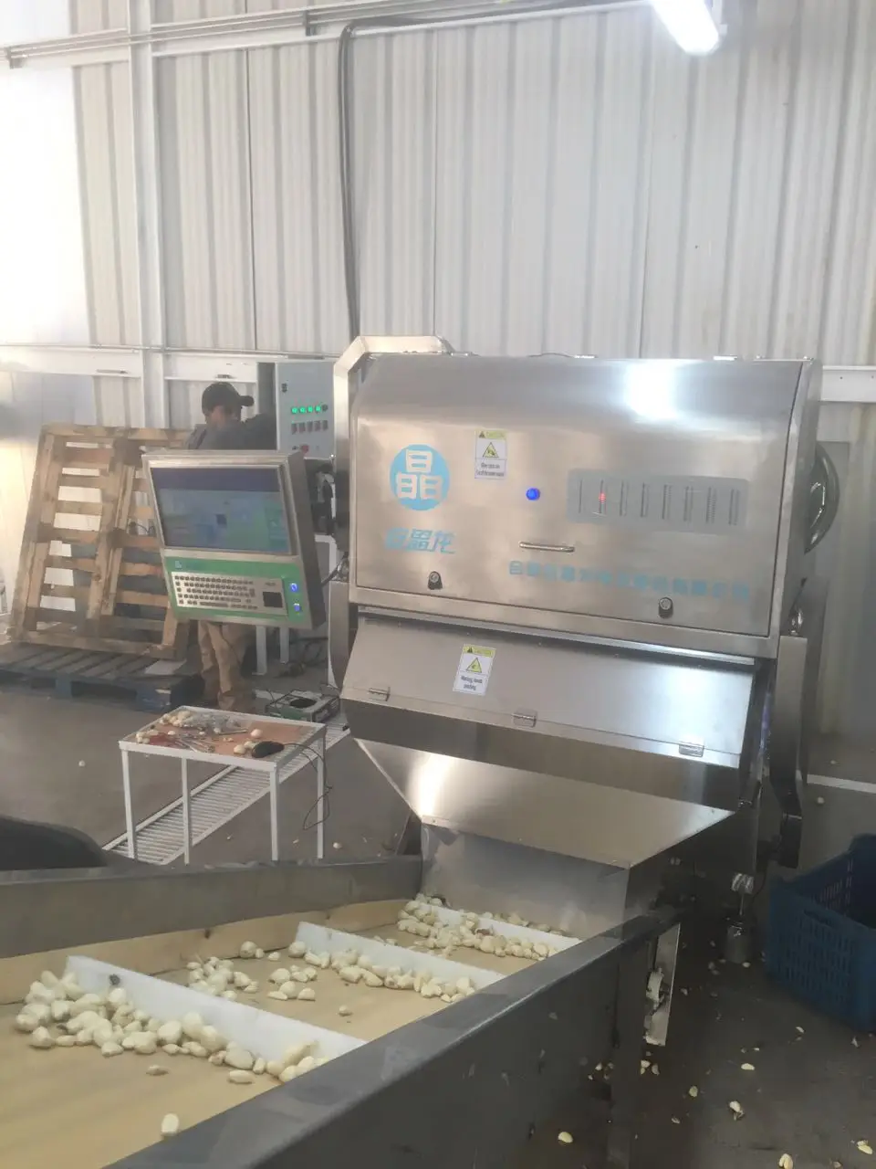 用于去皮大蒜/印度去皮大蒜分拣机的带式颜色分选机