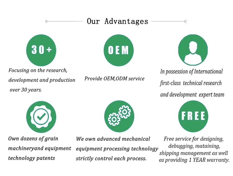 10t auto mini roller wheat flour mill wheat flour grinder machine