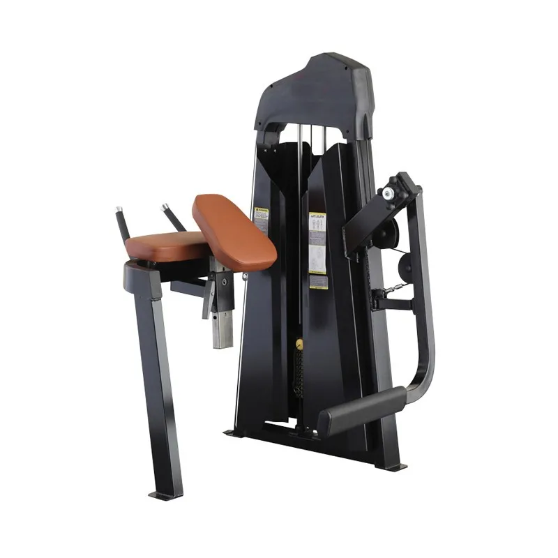 New Design Pin Loaded Commercial Gym Fitness Equipment Glute Extension Machine Buy Glute 
