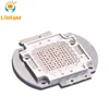 High Power 30W 50W 100 watt Chip Bi color 660nm 460nm 4:1 Red+Blue 100W COB LED Module for plant grow lamp