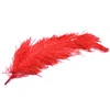 raw turkey feather carbon arrow turkey feather excellent quality