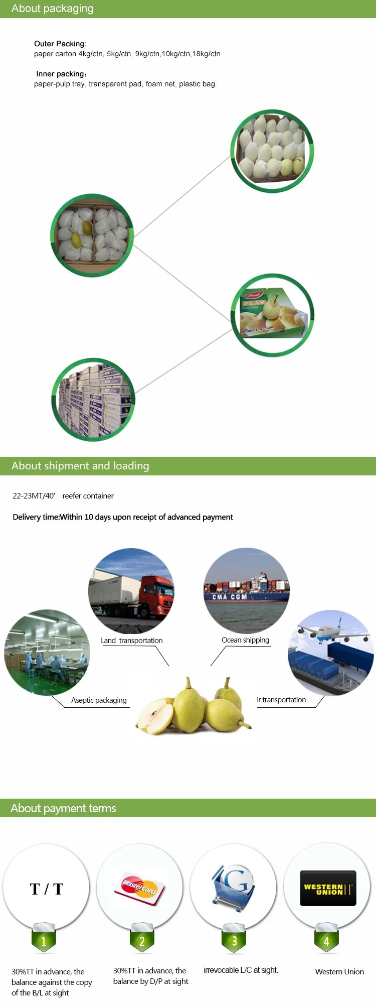 Chinese Fresh Yellow Ya Pear