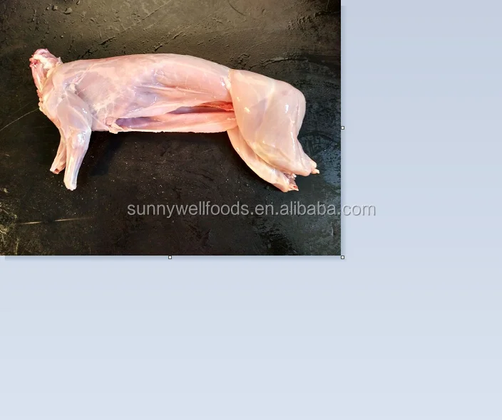 
frozen whole rabbit meat 