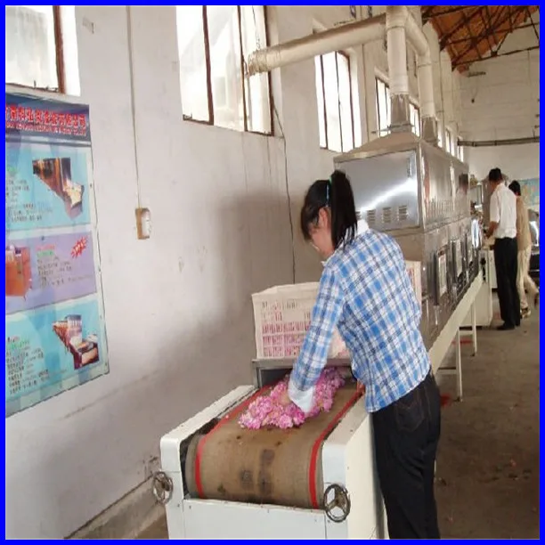 microwave antiseptic drying machine/ industrial microwave oven