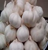 /product-detail/fresh-white-garlic-60621138425.html