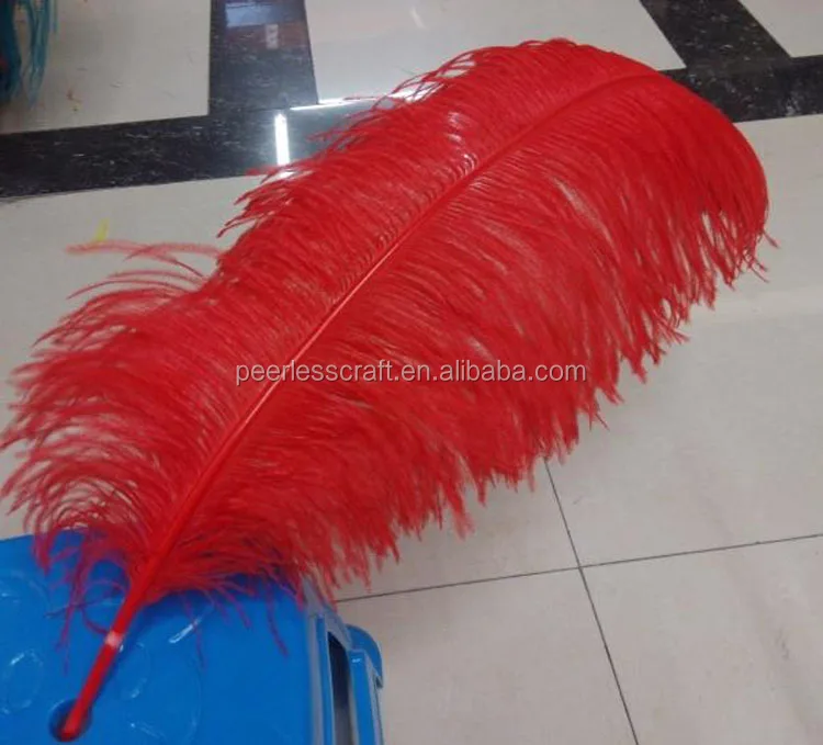 wholesale ostrich feathers in bulk