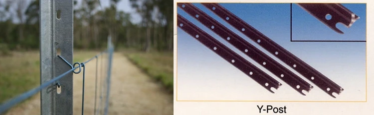 Le piquet Y de Metal Black Star de barrière de ferme de l'Australie forment le courrier pour la barrière de bétail