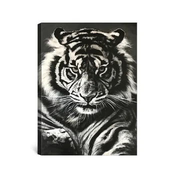 15+ gambar harimau hitam putih - sugriwa gambar