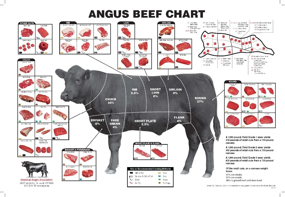 Halal Australian Beef
