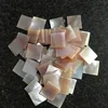 American pink shell chips