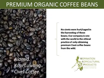 Premium Organic Coffee Beans Kopi Luwak Alamid Civet Buy Coffee Beans Coffee Philippines Organic Coffee Beans Product On Alibaba Com