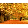 Diamond Painting Autumn Forest Leaves Full Square Round Drill Embroidery Diamond Cross Stitch Mosaic Decor Gift