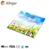 High Quality Gym Health 150Kg Electronic Weighing Body Fat Scale With Bluetooth