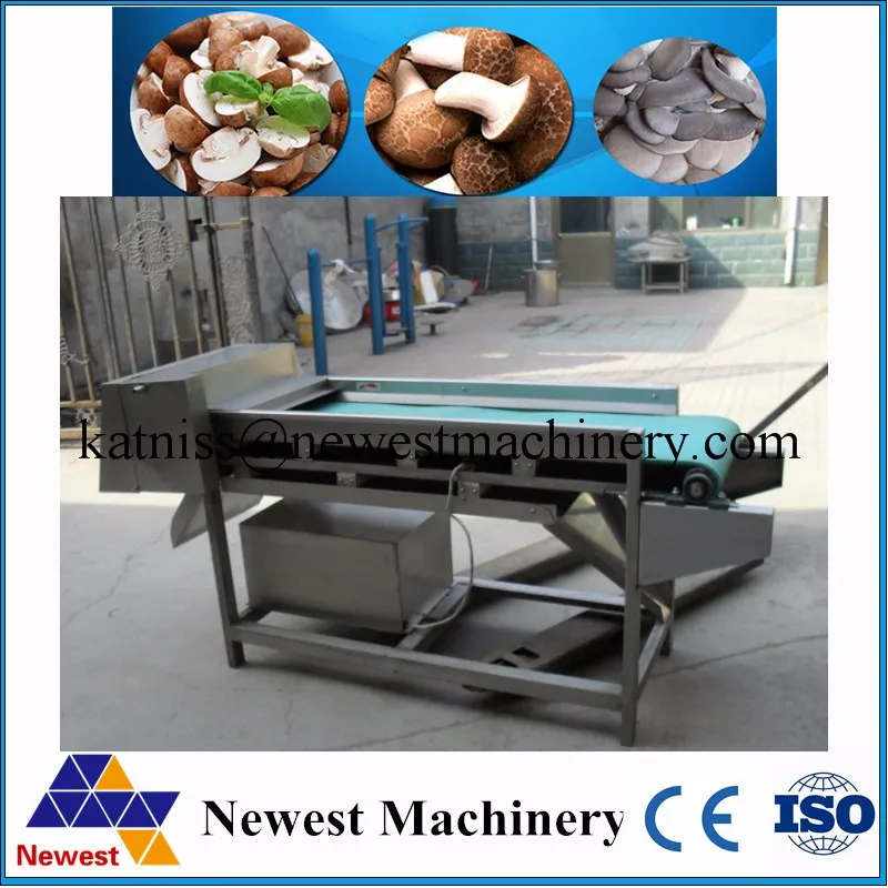 Mushroom Slicer Machine, Mushroom Cutter Machine Supplier