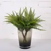 Best selling unique design living room decorative indoor plants