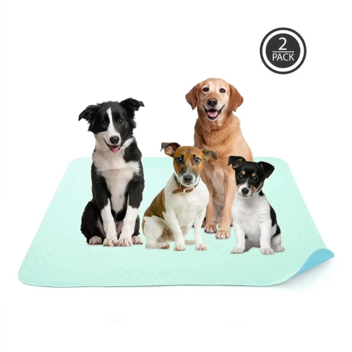 jolly jumper pee pad