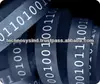 Software Development Services