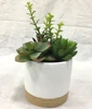 /product-detail/9-inch-succulent-artificial-plant-arrangement-in-ceramic-pot-62183721993.html