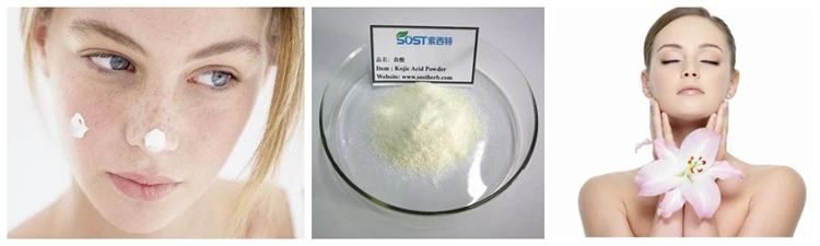 Best Price of Kojic Acid for Skin Care.jpg