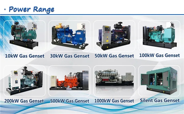 3.9 NG Genset Rage