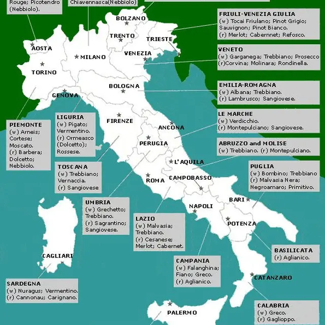 chianti, morellino, trebbiano, barolo, tuscan wine