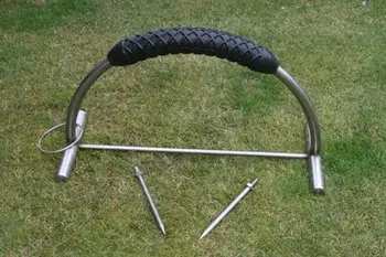 8500 Koleksi Gambar Burung Elang Bertengger Terbaru