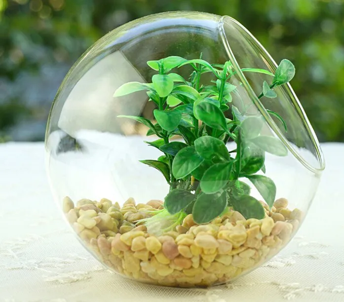 Clear Slant Cut Bowl Glass Vase/glass Terrarium,6inch X 2.7inch,Half Cut Terrarium Slanted