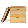Chinese factory OEM / ODM 8 / 10 frames wooden beehive for bees