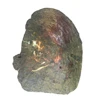 Natural polished Abalone Shell Natural Craft Seashell