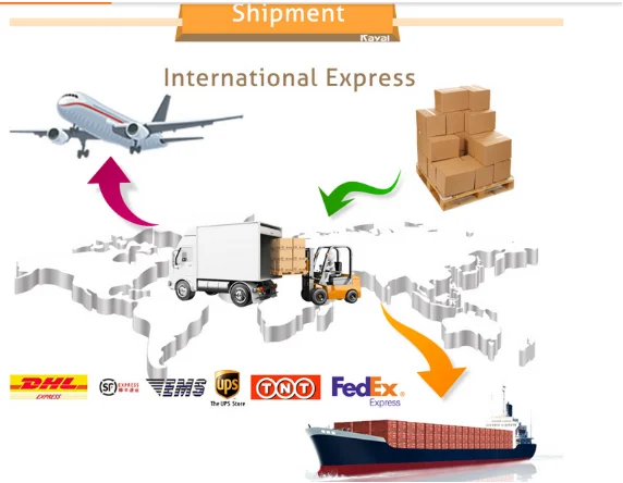 paste-pic-dp_uuid_i91r9