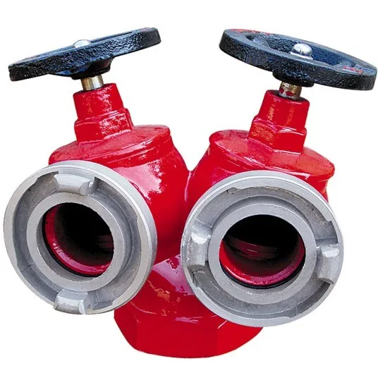 Dual outlet landing valve fire hydrant
