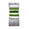 /product-detail/lettuce-micro-greens-plant-factory-hydroponic-tower-60833223881.html