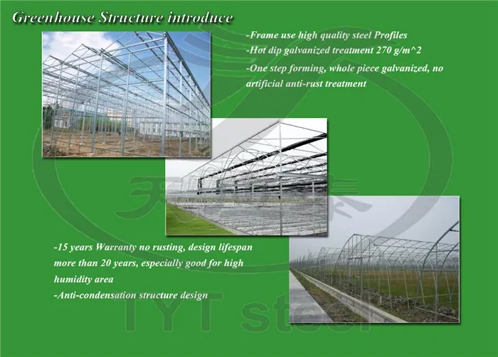 factory direct sale green houses agriculture