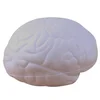 Medical antistress Squishies Brain model Pack Toy Soft PU Foam Slow Rising Squishy juguete de los Tress de la pu teaching tool