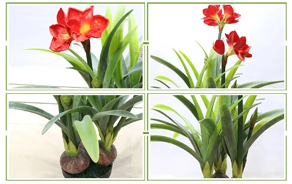 Manufacture Artificial Amaryllis Vittata Flowers Plant Bonsai With 95cm  Height - Buy Artificial Plant,Plastic Plants,Cheap Artificial Plants  Product on 