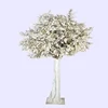 White banyan tree fast ship oak tree for wedding decoration