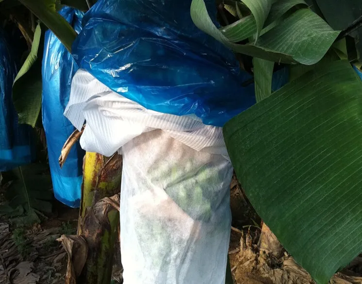 Banana Tree Protection Banana Bags With Uv Protection Buy Banana