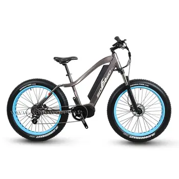 1000w ebike