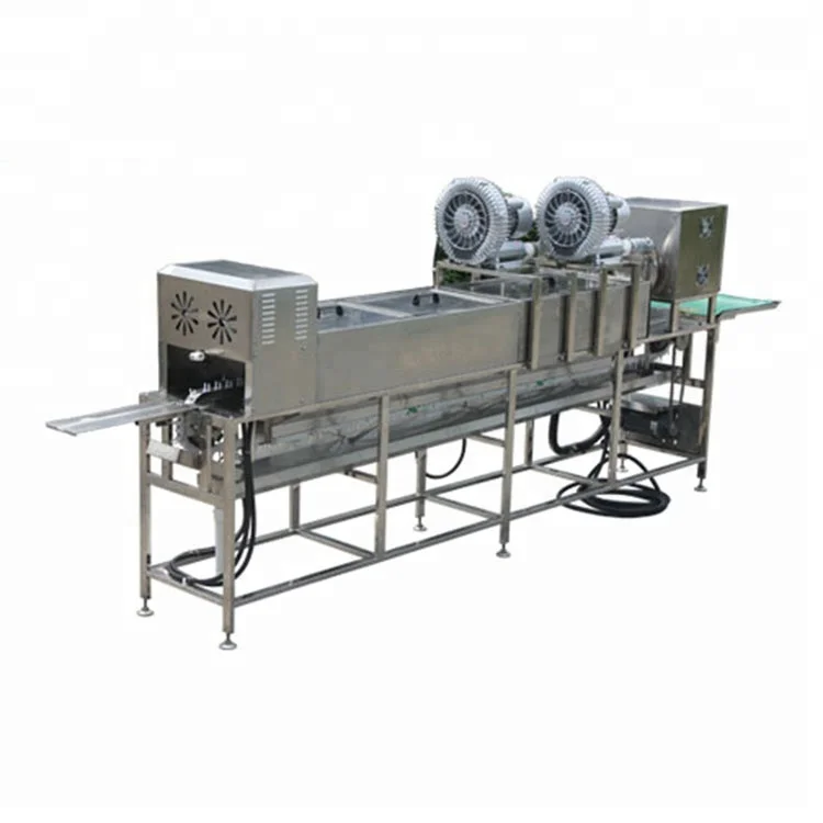 egg washer1.jpg